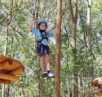 TreeTops Newcastle - Gold Coast