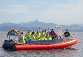 Byron Bay Whale Watching - Tourism Gold Coast 2