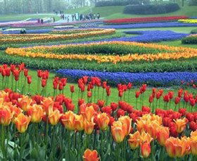 Botanica World Discoveries - Tourism Gold Coast 0