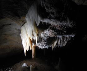 Country Charmâ„¢ Discovery Tours - Gold Coast 1