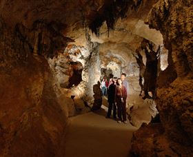 Country Charmâ„¢ Discovery Tours - Gold Coast 3