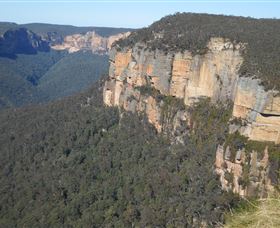 Country Charmâ„¢ Discovery Tours - Gold Coast 4