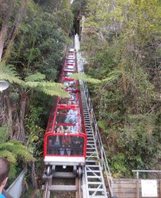 Country Charmâ„¢ Discovery Tours - Gold Coast 6