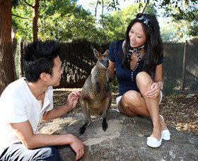 VIP Aussie Gold - Tourism Gold Coast 0