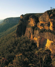 Blue Mountains Mountain Bike Adventure Tour - Tourism Gold Coast 0