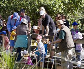 St Ives Precinct - Tourism Gold Coast 1