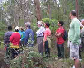 Boronia Tours - Gold Coast 0