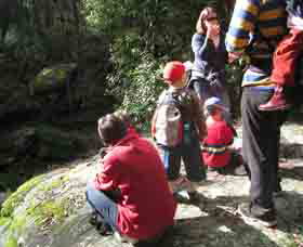 Boronia Tours - Gold Coast 2