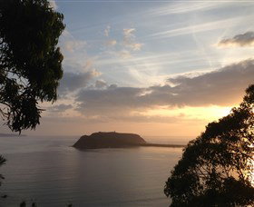 Pittwater Kayak Tours - Tourism Gold Coast 3