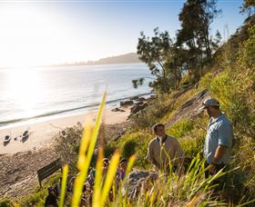 Pittwater Kayak Tours - Tourism Gold Coast 8