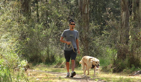 Second Ponds Creek Walk - Tourism Gold Coast 3