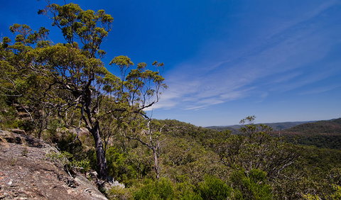 Marramarra National Park - Gold Coast 1