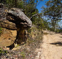 Canoelands Ridge walking track - Tourism Gold Coast
