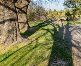 Bald Hill Lookout - Gold Coast 4
