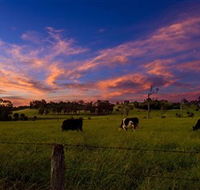 Made in Macarthur Food and Wine Tours - Tourism Gold Coast
