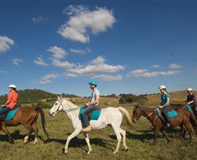 Sugarloaf Horse Centre - Tourism Gold Coast 1