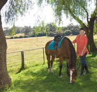Sugarloaf Horse Centre - Tourism Gold Coast