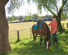 Sugarloaf Horse Centre - Tourism Gold Coast 0
