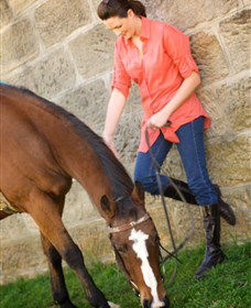 Sugarloaf Horse Centre - Tourism Gold Coast 2