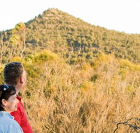 Piles Creek loop - Gold Coast