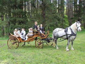 Walkley Heights SA Tourism Gold Coast