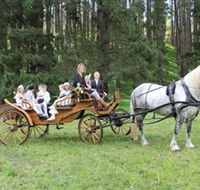Classic Carriage Drives - Tourism Gold Coast