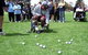 Adelaide Hills Petanque Club - thumb 1