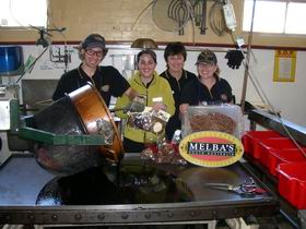 Melba's Chocolate And Confectionery Factory - Tourism Gold Coast 1