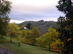 Nirvana Organic Produce And Farm - Gold Coast 2