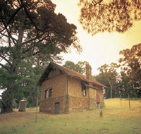Heysen - The Cedars - Tourism Gold Coast