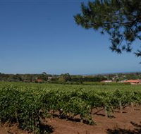 Grancari - Tourism Gold Coast