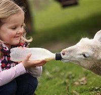 Hahndorf Farm Barn - Tourism Gold Coast