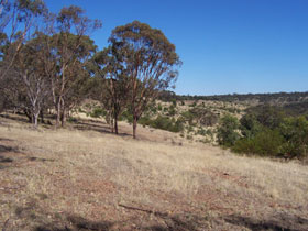 Onkaparinga River National Park - Gold Coast 0