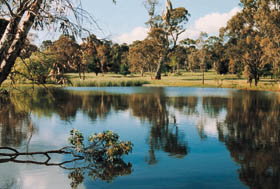 Echunga Golf Club Incorporated - Tourism Gold Coast 1
