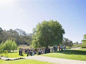 Howard Vineyard - Gold Coast 1