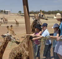 Monarto Open Range Zoo - Tourism Gold Coast