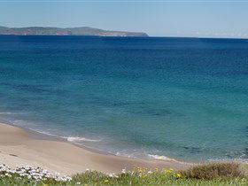 Carrickalinga Beach - Tourism Gold Coast 1