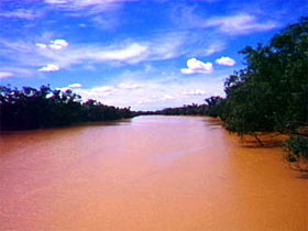Allan Tannock Weir - Gold Coast 1