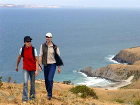 Delamere SA Tourism Gold Coast
