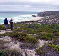 Murray Lagoon - Cape Gantheaume Conservation Park - Tourism Gold Coast