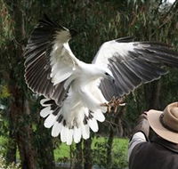 Raptor Domain - Tourism Gold Coast