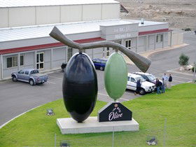 The Big Olive - Tourism Gold Coast 0