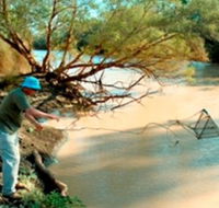 Charleville - Ward River Fishing Spot - Tourism Gold Coast