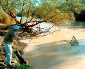 Charleville - Ward River Fishing Spot - Tourism Gold Coast 0