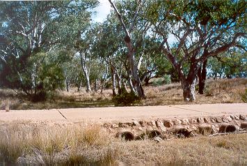 Charleville - Ward River Fishing Spot - Tourism Gold Coast 1