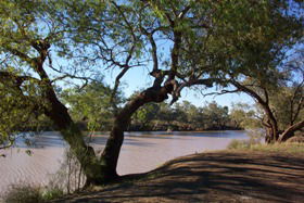 Charleville - Bakers Bend Warrego River Fishing Spot - Tourism Gold Coast 1