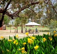Charleville - Graham Andrews Parklands - Tourism Gold Coast