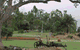 Charleville - Graham Andrews Parklands - thumb 2