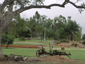 Charleville - Graham Andrews Parklands - Tourism Gold Coast 2