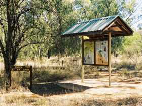 Charleville QLD Tourism Gold Coast